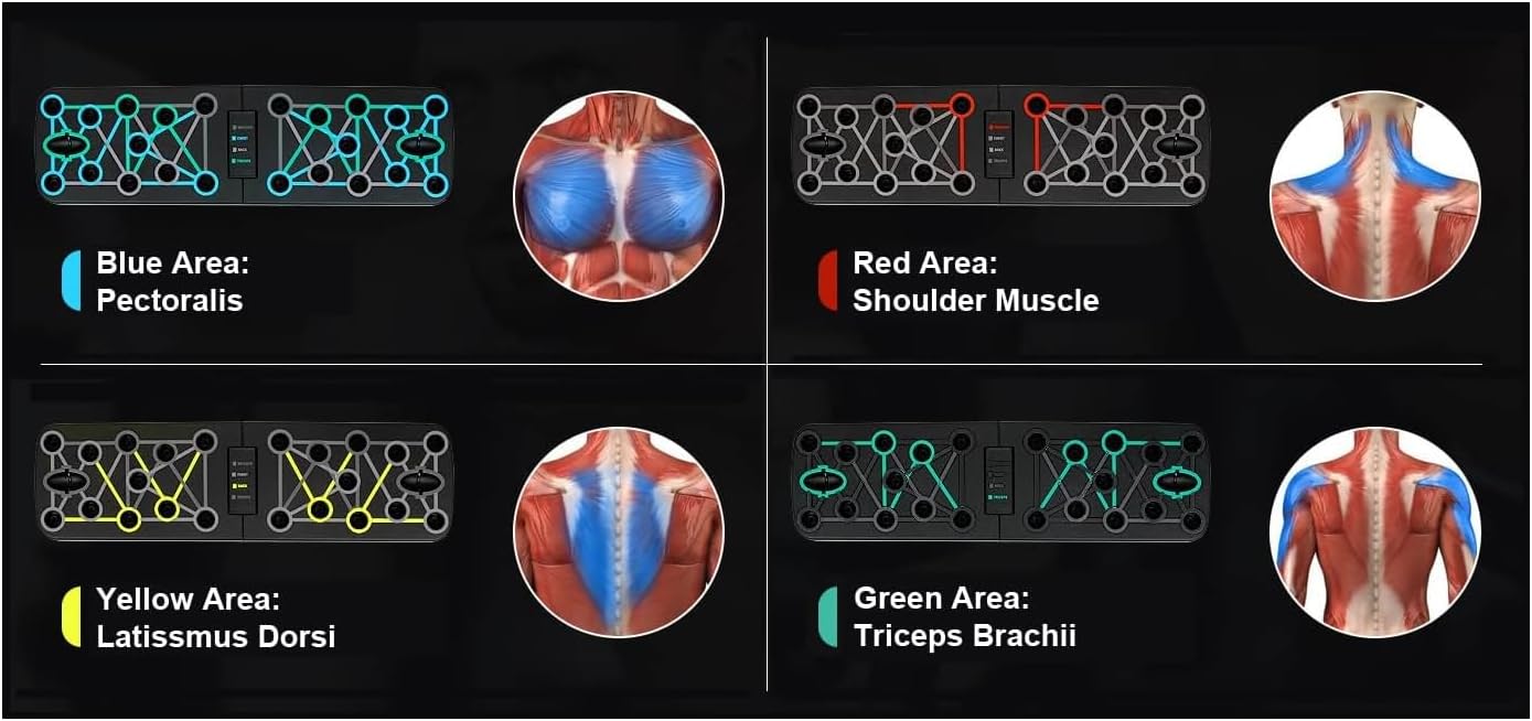 Suport pliabil, Zola®, pentru flotari si exercitii, antiderapant, 63 x 18 cm Suport pliabil, Zola®, pentru flotari si exercitii, antiderapant, 63 x 18 cm